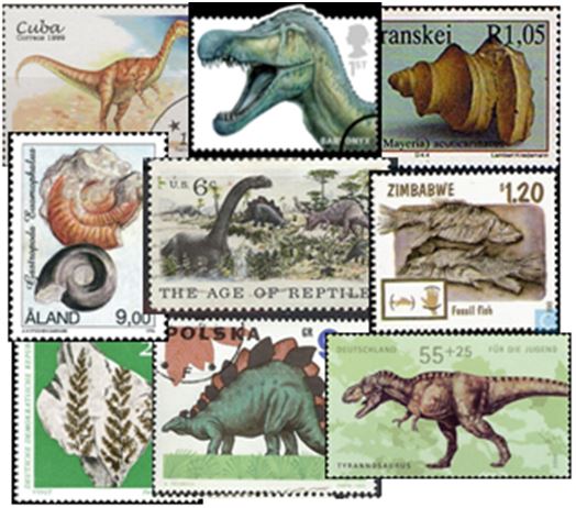 How many of these prehistoric creatures can you identiify?