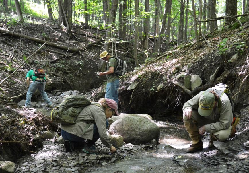 Collecting the the Cashaqua Formation exposed on a creek on the east side of South Hill near Middlesex, NY