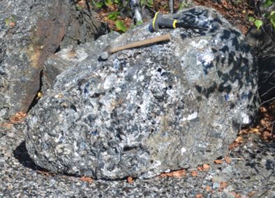 This pegmatite boulder at the northern end of Benson Mines has suffered the wrath of many a collector trying to remove a sizable specimen of muscovite and quartz.  Witness the spread of mica flakes surrounding the resistant boulder.