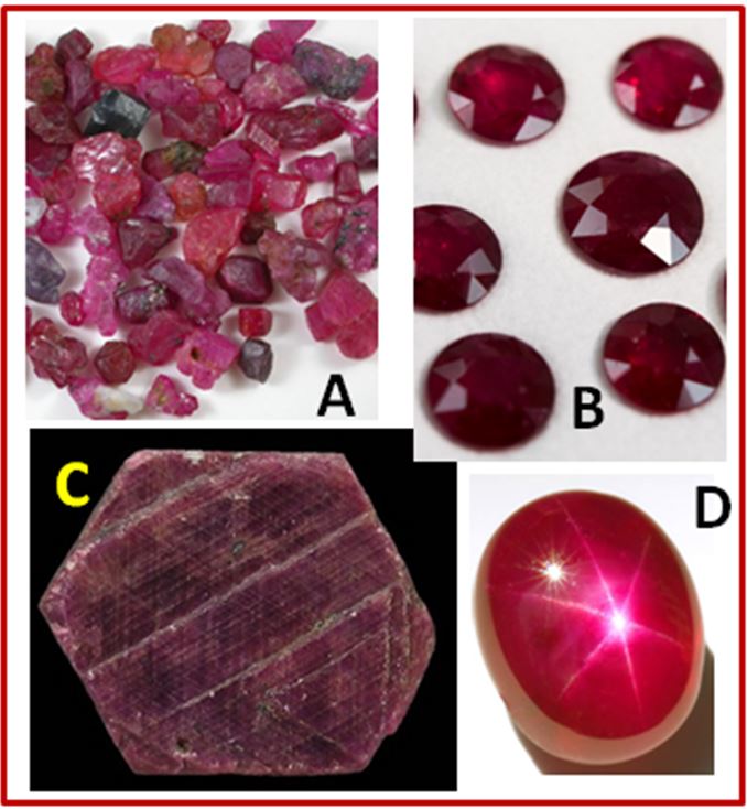 Corundum and Ruby:  A and B – raw and cut rubies from Myanmar, C) looking down on the striated pinacoidal face of a corundum crystal, D) a star ruby where needle-like rutile inclusions cause a six-sided star to shimmer over the stone.