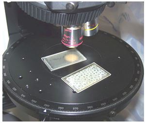 Thin sections placed on a rotating microscope stage and ready to be viewed with transmitted light from below
