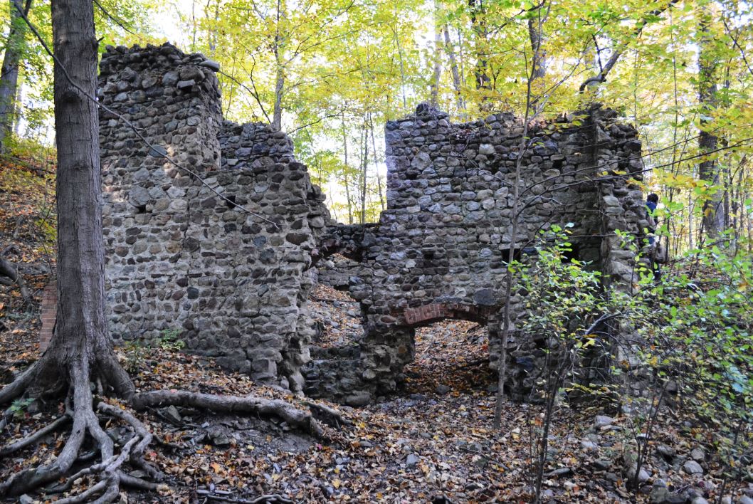 The old stone walls from what once must have been a multi-room facility of some sort stood stoically amongst the younger deciduous trees growing around and even within the walls of the ruins.  