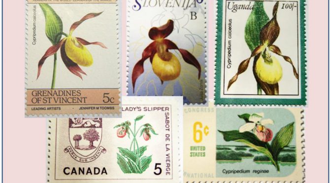 Cypripedium Orchids on Stamps