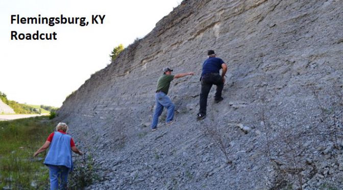 Kentucky Fossils